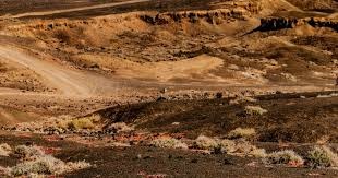 麻将概率解析（麻将概率剖析）