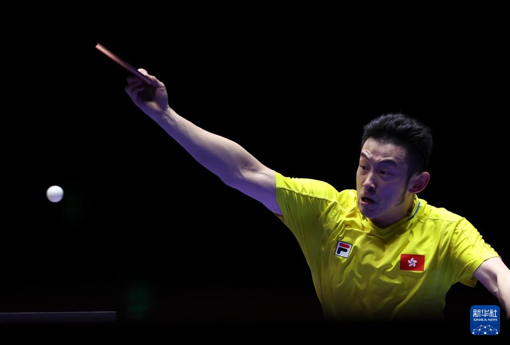 进一步证实 进一步证实